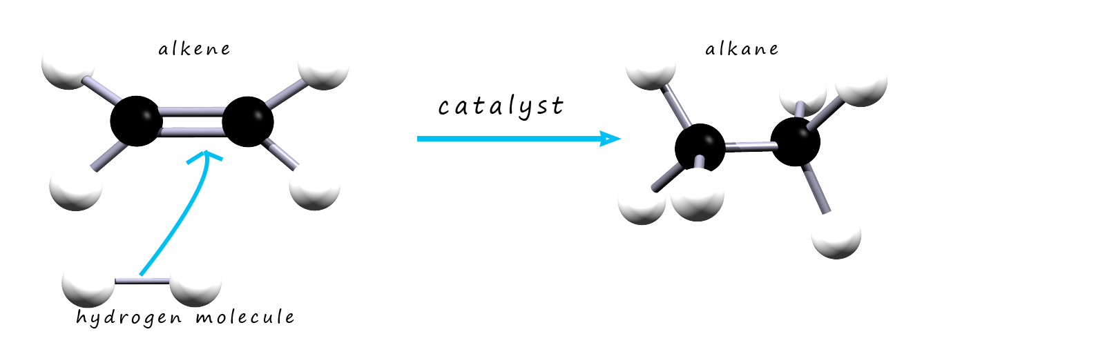 3d model to show how an alkene is hydrogenated.